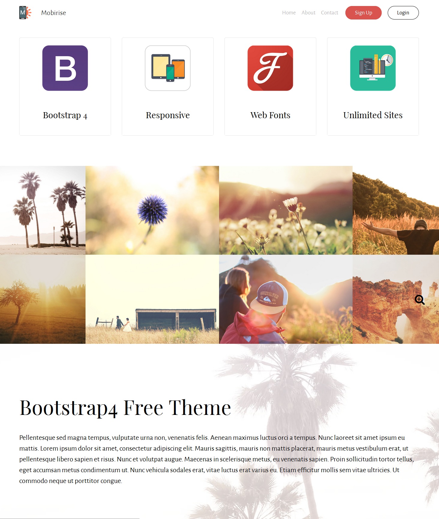 HTML5 Bootstrap Video Theme